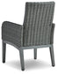 Elite Park Arm Chair With Cushion (2/CN)